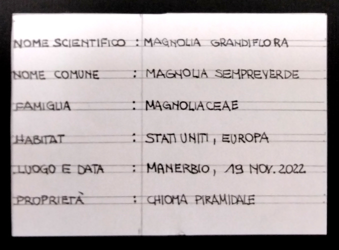 prime 22-etichetta1